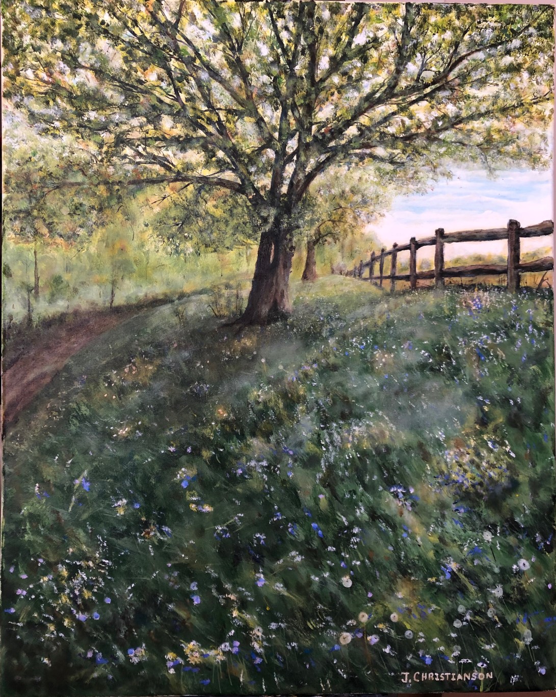 51031547_755556651495198_8908492234739941376_n